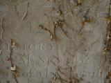 image of grave number 904514